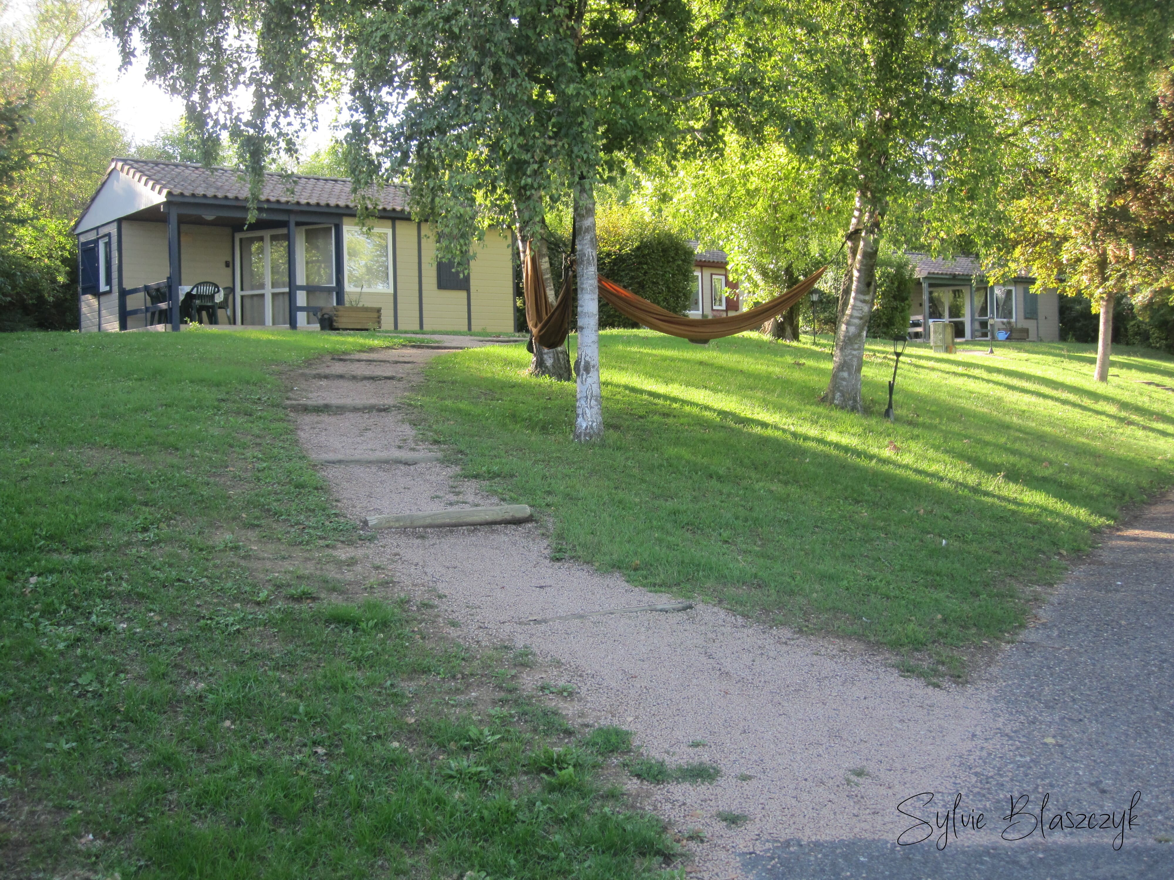 IMG 0657