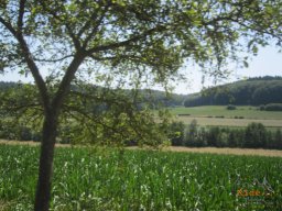 2019-07-22 - Reco - Du Charbon au Nucléaire