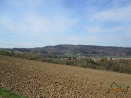 2021-04-17_Des-Sources-au-Riesling