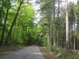 2022-05-15_Reco_Bastogne-et-la-Semois