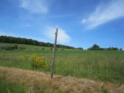 2022-05-15_Reco_Bastogne-et-la-Semois