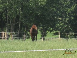 2023-07-08_RBSB_Camp-Benning