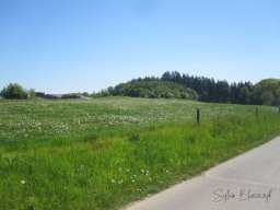 2025-05-01_Motorbike-Emotion_La-balade-du-Muguet