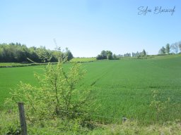 2025-05-01_Motorbike-Emotion_La-balade-du-Muguet