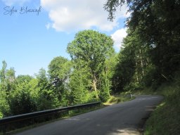 2025-07-09_BizzRiders_Event-Autopolis