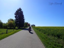 2026-04-26_Motorbike-Emotion_OrigiNell
